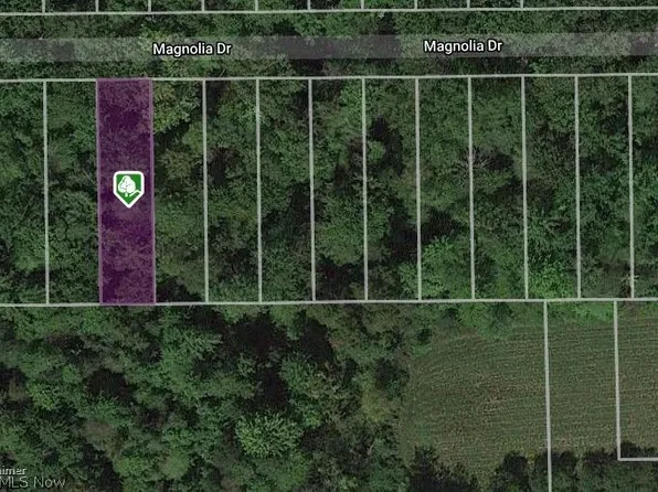 V/l Magnolia 21 Dr, Madison, OH 44057