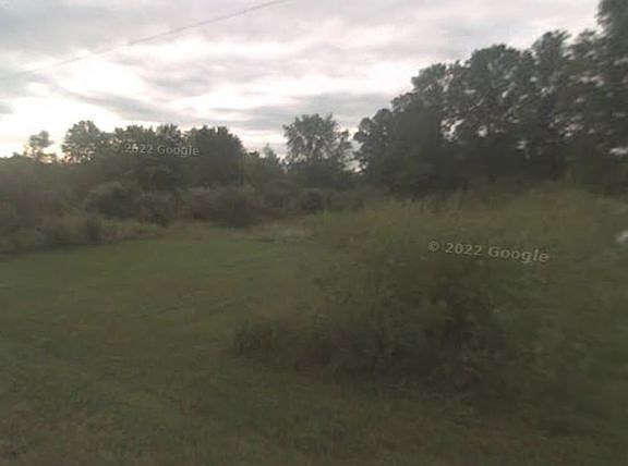 3rd image of 1842 Colorado Ave