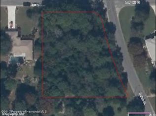 11424 Salters St, Spring Hill, FL 34609