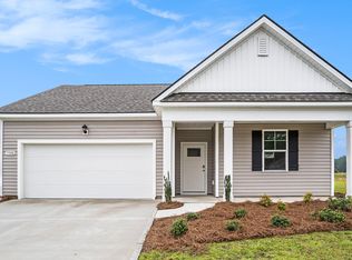 390 Hadley Springs Ave, Longs, SC 29568