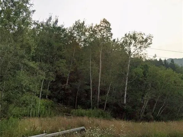 East Ave Lot 85, Avoca, NY 14809