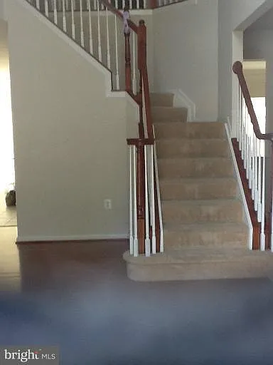 5 bed, 3.5 bath, 4796 sqft, $3,950 — Photo 4