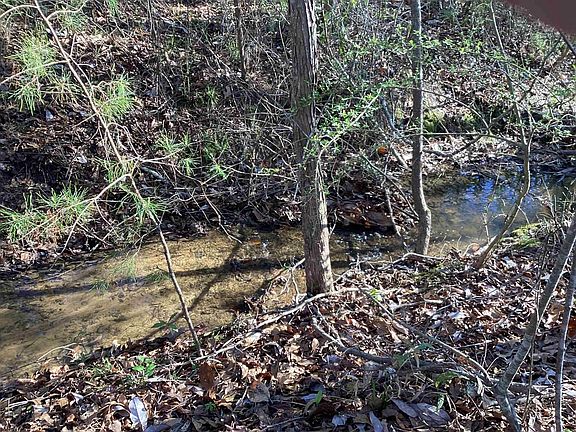 3rd image of 37841 Oakey Streak Rd