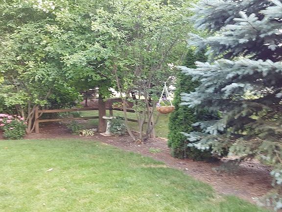 nice landscaping