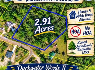 1891 Openwoods Rd, Middleburg, FL 32068