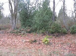 1st image of 13624 Cedar Glen Ln SE