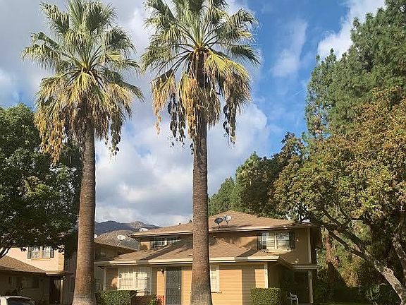 3rd image of 917 W Sierra Madre Ave APT 3