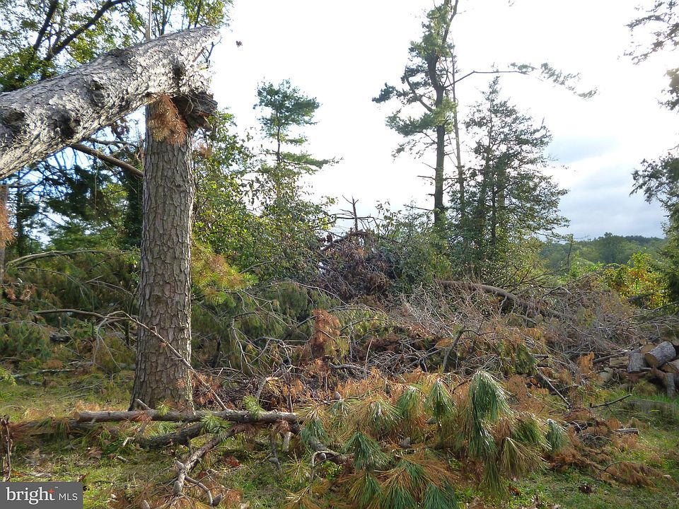 2nd image of 859 Boundary Rd