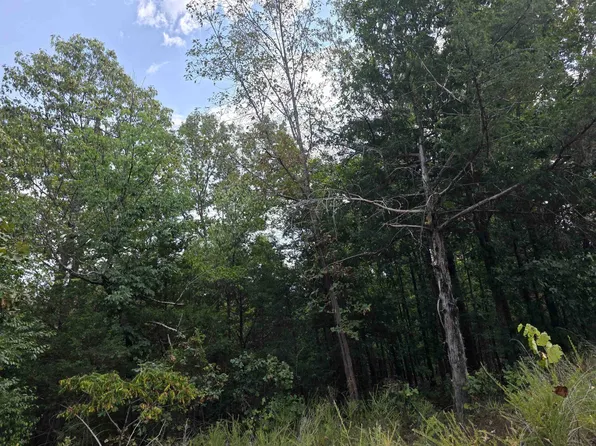 L8 B3 62/412 Hwy, Hardy, AR 72542