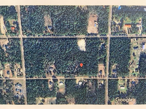 4320 Wanda Street, Hastings, FL 32145