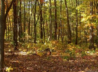 28 Spring St #8, Candler, NC 28715