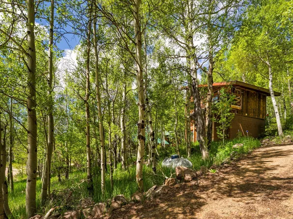 313 N Piedmont St, Rico, CO 81332