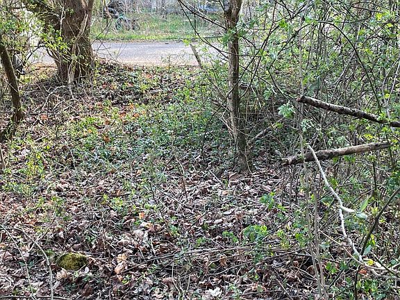 5th image of Crowder Rd