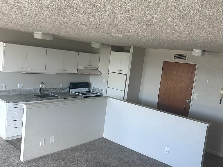 100 N Arlington Ave #18I — Photo 10