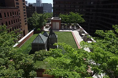 Rented by The Monterey