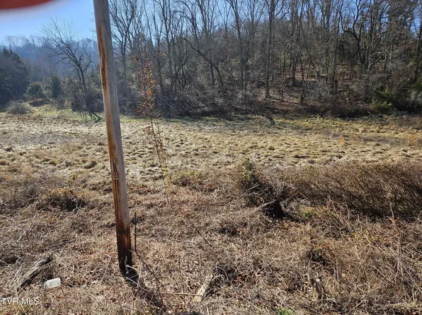 0 Blue Springs Pkwy, Mosheim, TN 37818