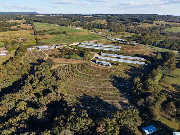 2nd image of 0 Reneau Rd #18