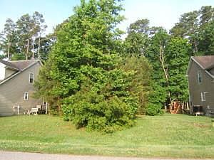 2nd image of 60 Hingham Ln