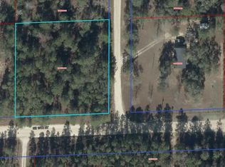 10 Northeast St, Williston, FL 32696