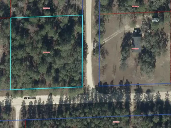  NE 10th St, Williston, FL 32696