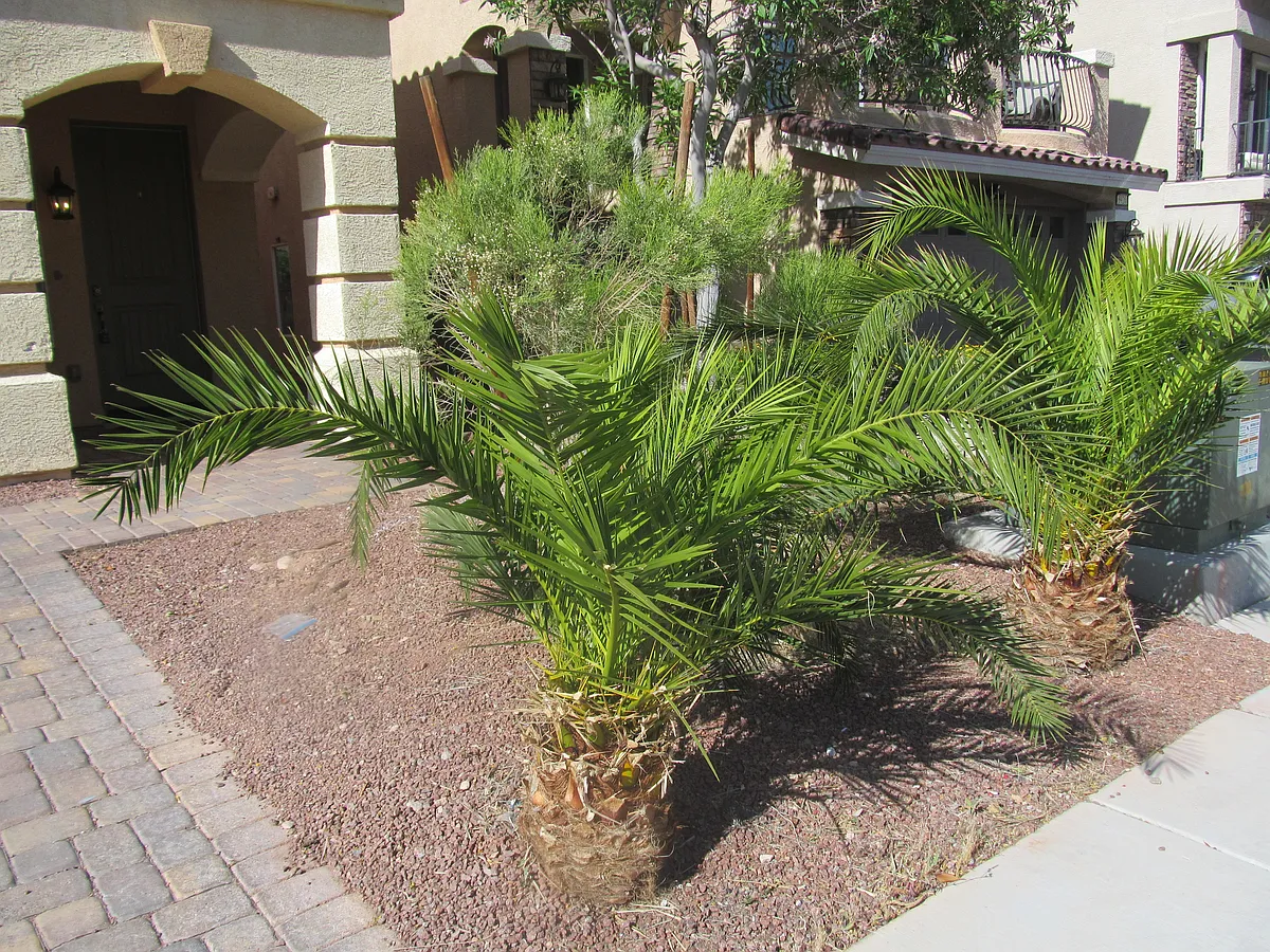 Building Photo - 5930 Crown Palms Ave