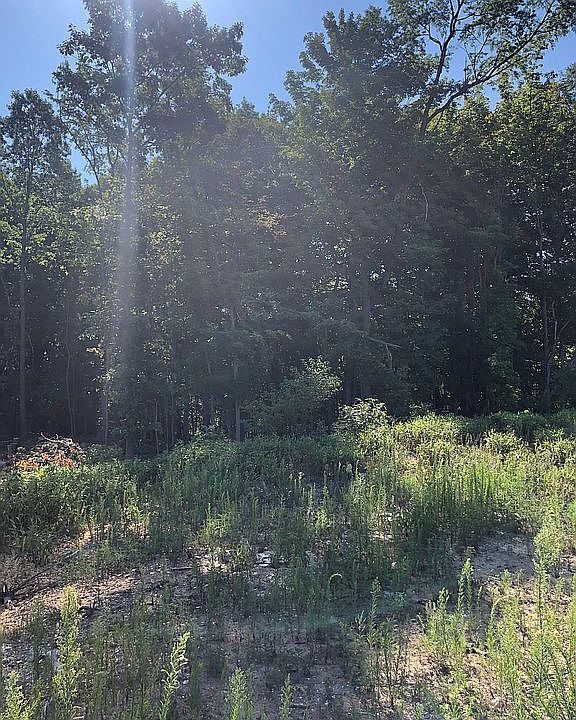 2nd image of 2770 Pinehill Dr
