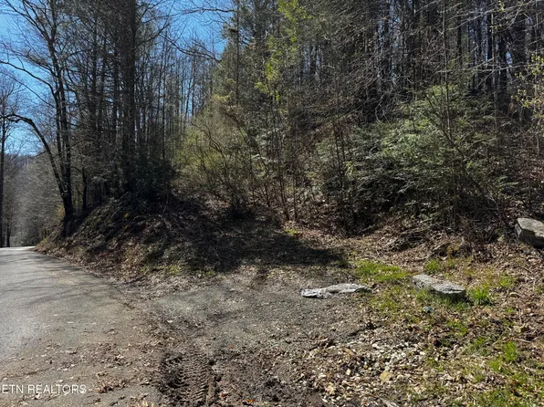 Melvin Hollow Rd, Pioneer, TN 37847