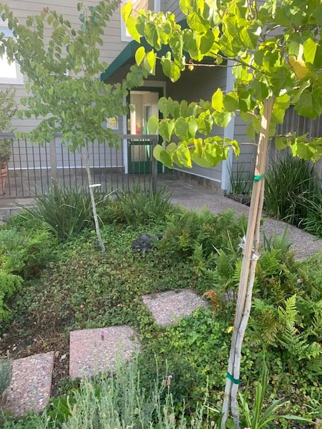 2 bed, 1200 sqft, $3,950 — Photo 1