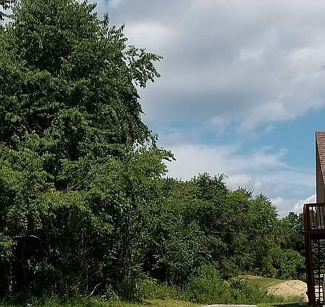 4th image of 370 Plyleys Ln