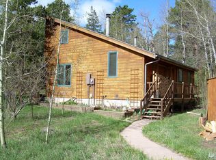 2872 Ridge Rd, Nederland, CO 80466