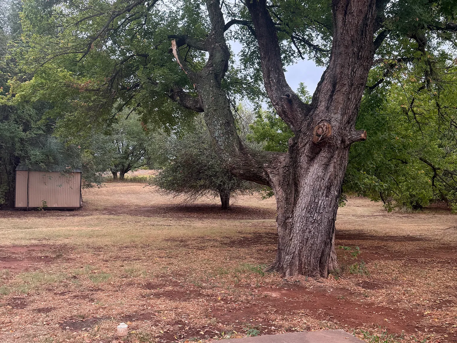 3 bed, 1798 sqft, $1,700 — Photo 4