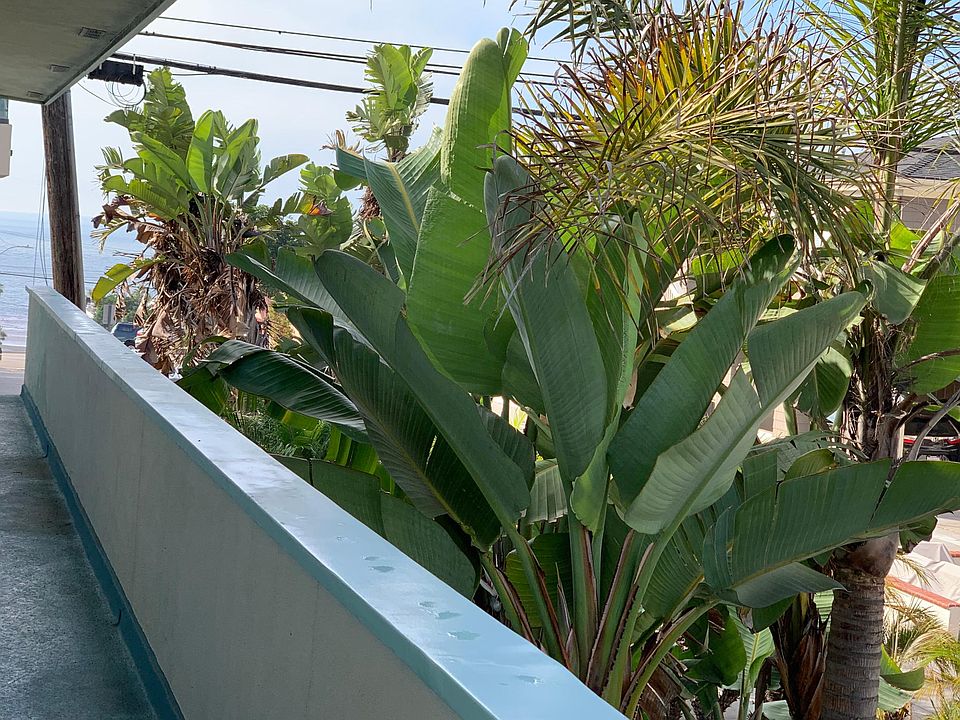 View out your front door to the ocean and overlooking the charming walk street