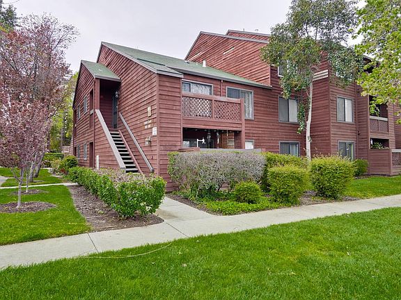 2nd image of 983 Catkin Ct