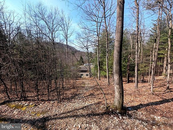 4th image of 7895 Stump Run Rd