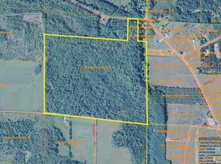 Black River Road 130 Acres, Cheboygan, MI 49721