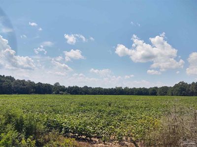 7264 Springhill Rd, Milton, FL, 32570