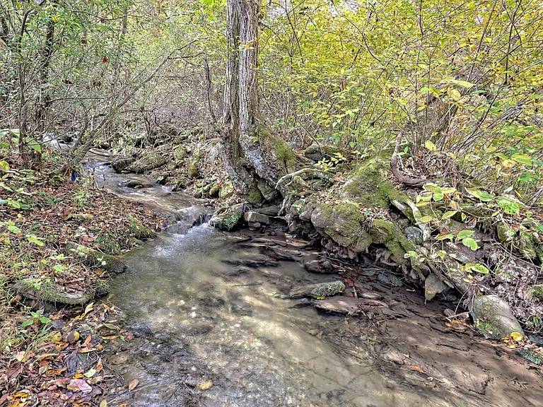 Kirklands Creek Rd — Photo 36