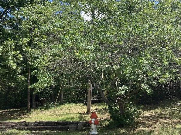 Standley Ave #9, Berryville, AR 72616
