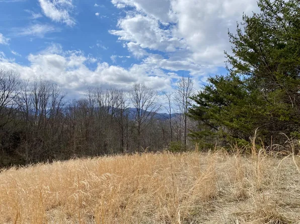 Blaine White Rd, Erwin, TN 37650