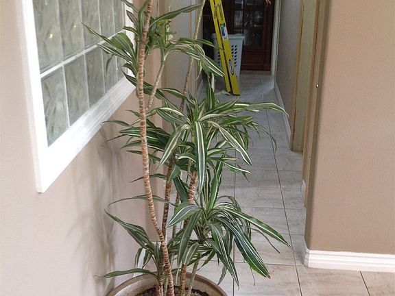 living area And hall