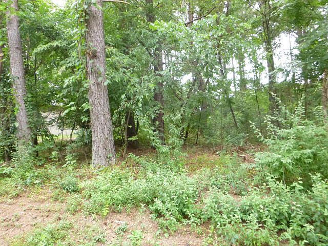 1st image of 127 Gigi Ln