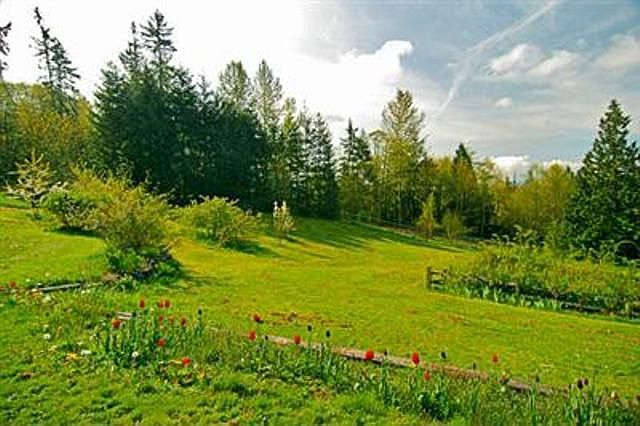 Yard with heritage apple trees
