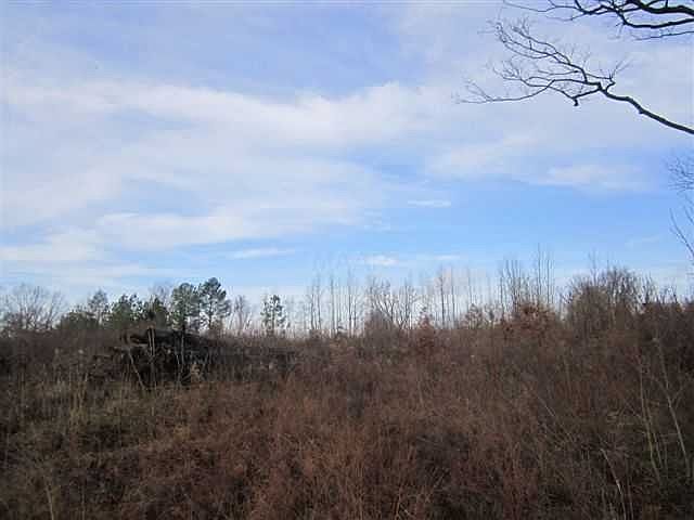 2nd image of 0 Poplar Grove Cemetery Rd #2