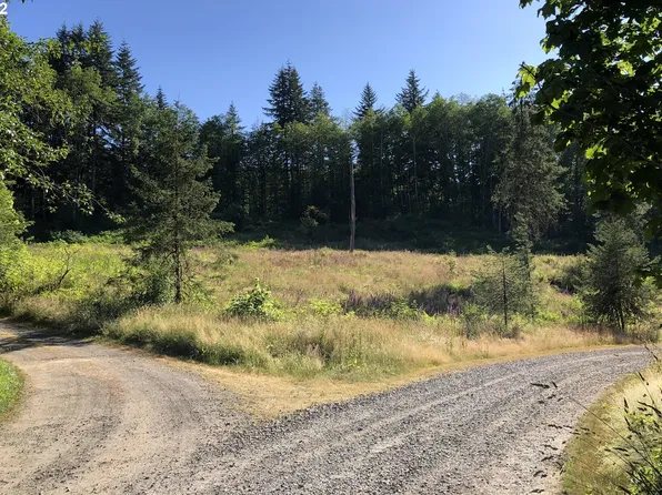 Christmas Tree Rd, Seaside, OR 97138