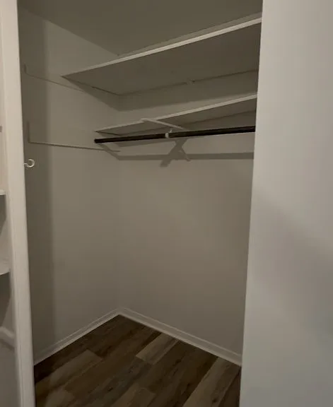 1402 N Adams St #4 — Photo 9
