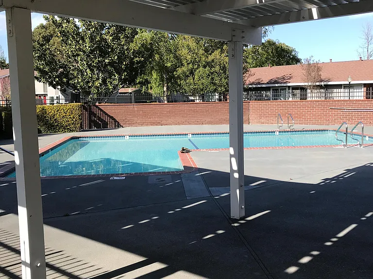 Community swimming pool