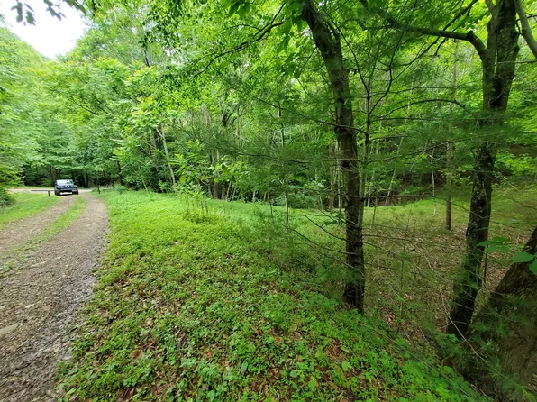 LOT 4 Bailey Hollow Rd, Erwin, TN 37650