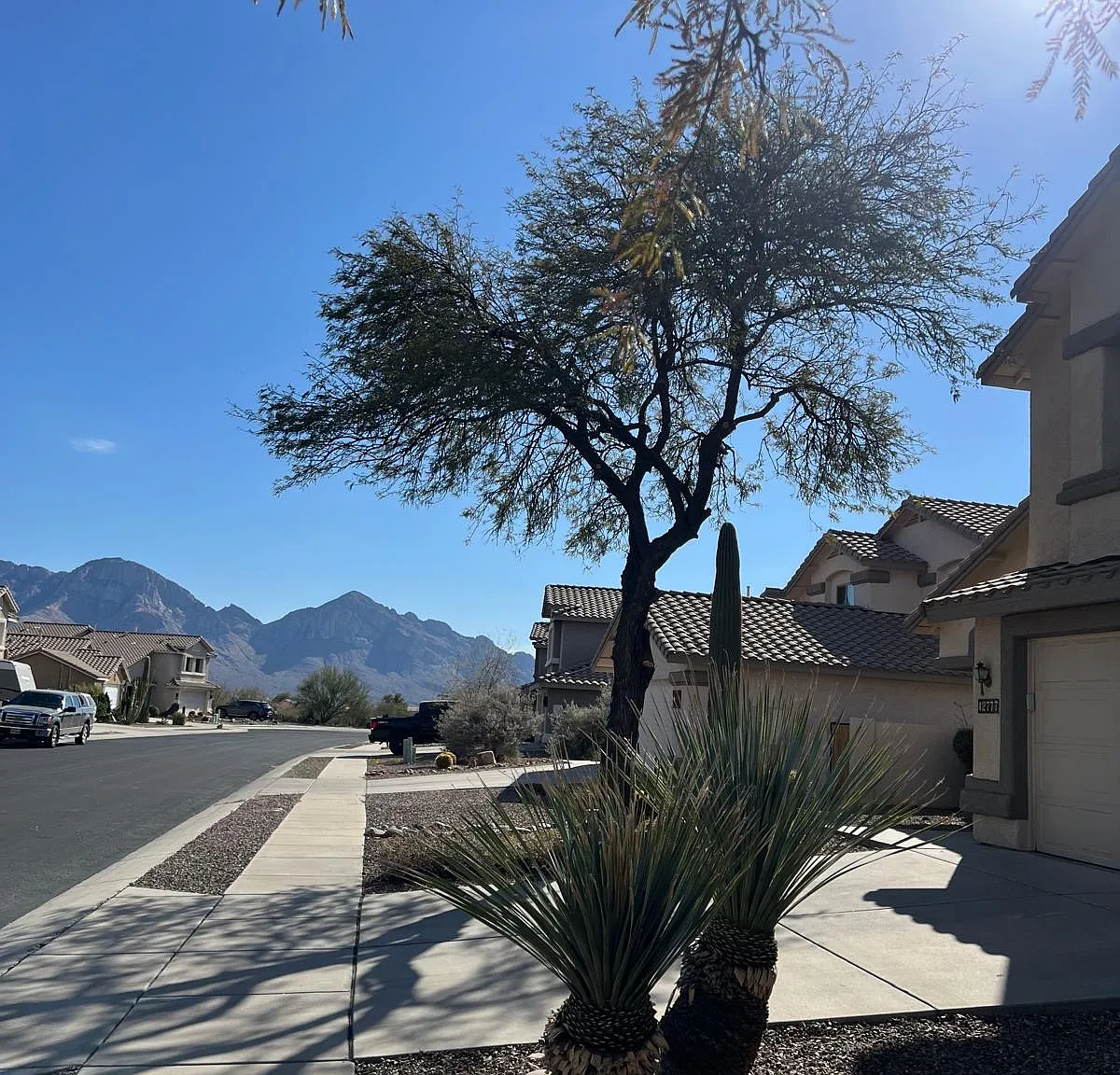 4 bed, 2713 sqft, $2,650 — Photo 2