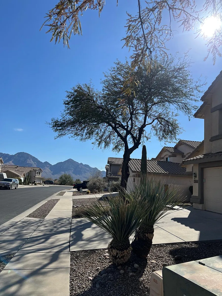 Building Photo - 12777 N Lantern Way