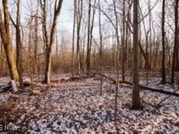 Ensign Rd, West Farmington, OH 44491
